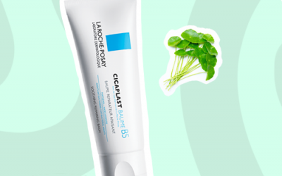 Las 10 mejores cremas con centella asiática para calmar tu piel